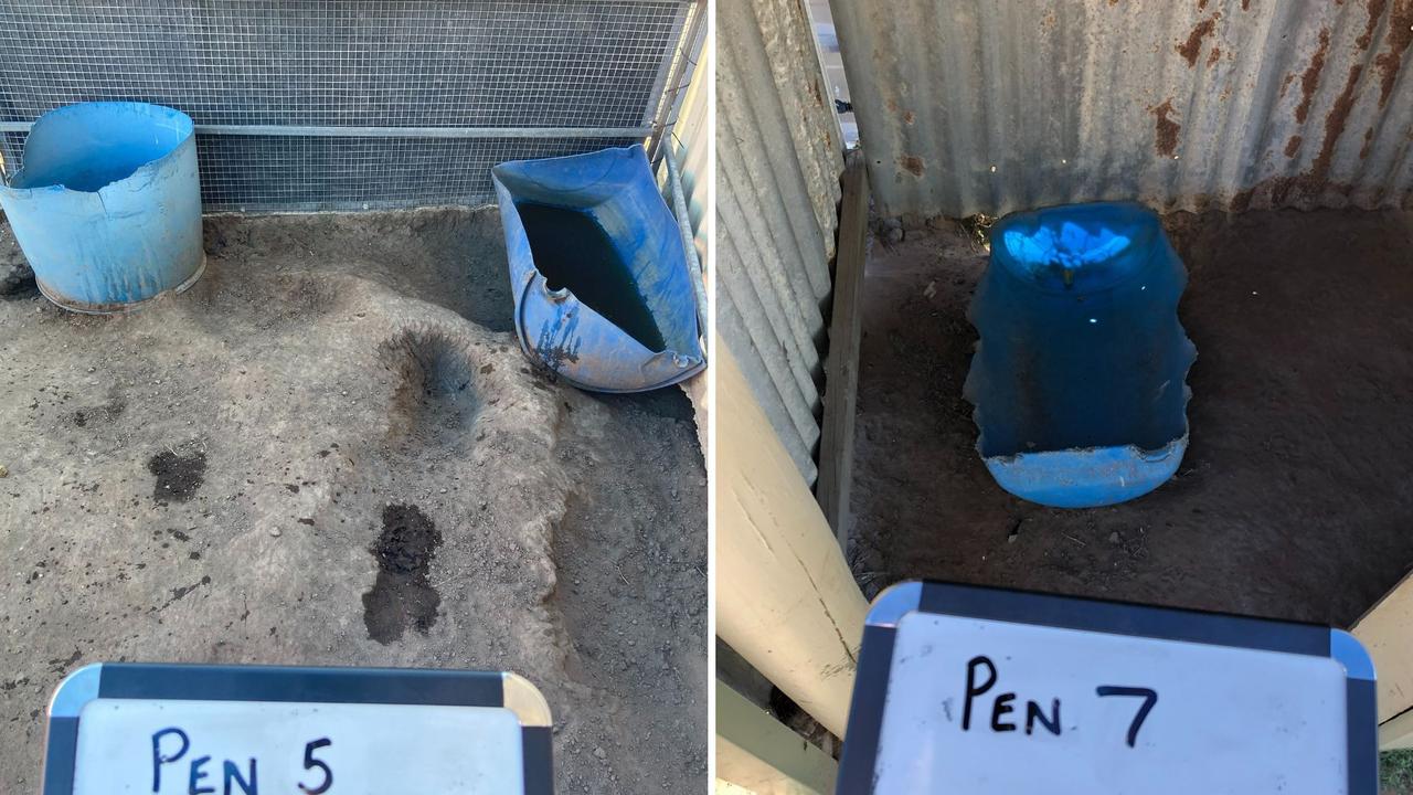 The conditions of some of the dog yards at Elizabeth Verhagen's property. Picture: Supplied/RSPCA