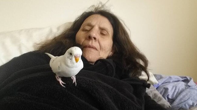 Loretta Robinson’s social media profile depicts an animal-loving grandmother of three.