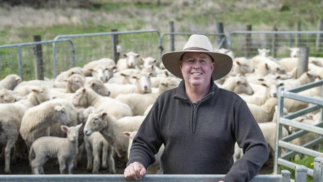 NEWS: Scott Young - VFF Livestock PresidentScott Young - VFF Livestock PresidentPICTURED: Scott Young - VFF Livestock PresidentPICTURE: ZOE PHILLIPS