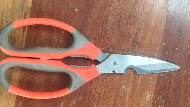 Scissors thrown over the fence in a backyard where children were playing. Picture: Supplied