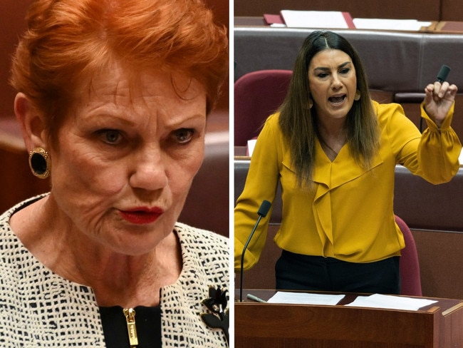 The One Nation leader has slammed an initiative that would see non-Indigenous Australians donate to traditional landowners, coining it as ‘discriminatory’.