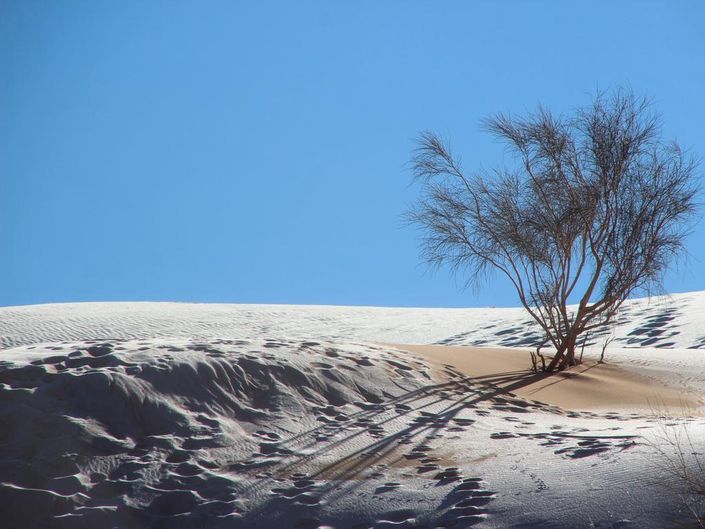 Wild pics as Sahara blanketed in snow