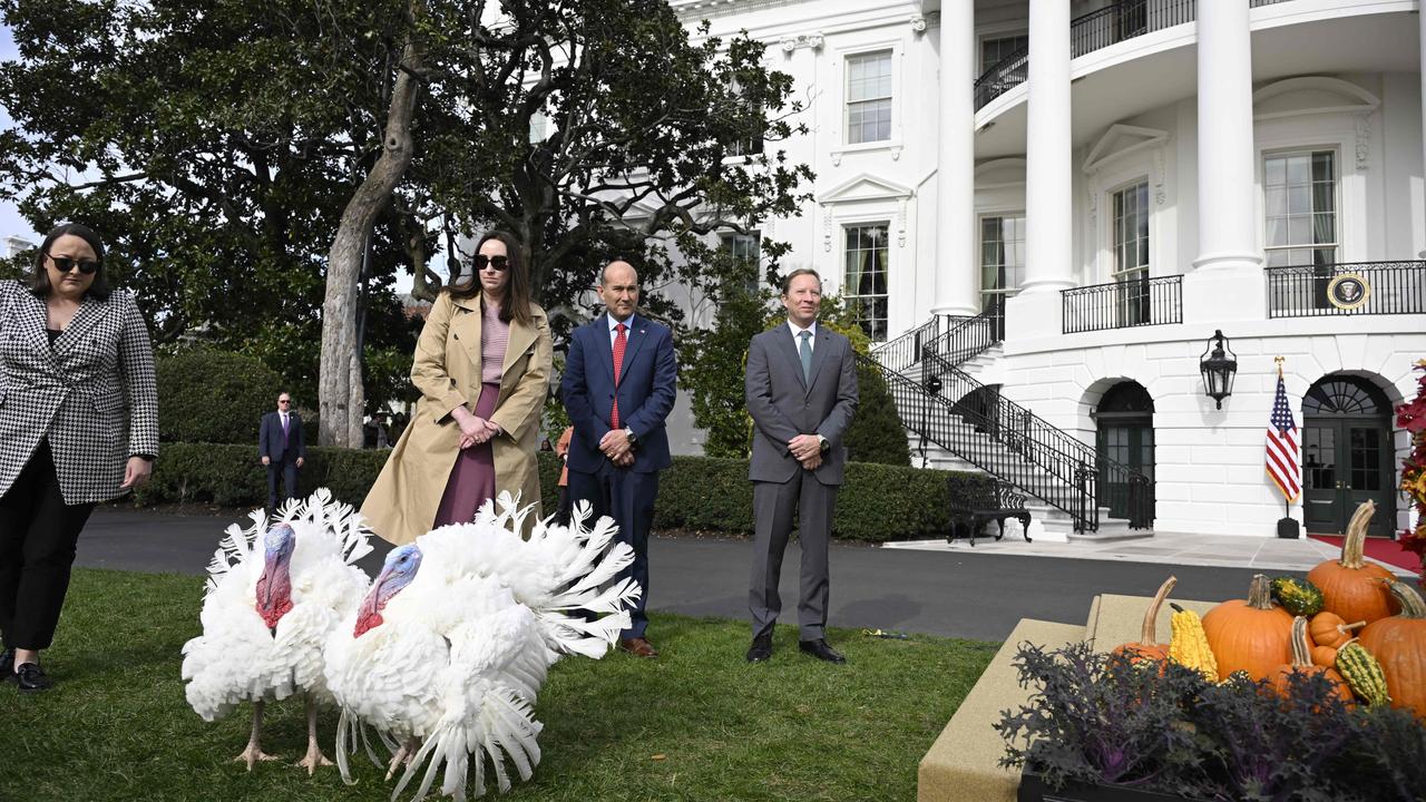 The national Thanksgiving turkeys, Liberty and Bell, were stars of the show on the South Lawn of the White House. Picture: Andrew Caballero-Reynolds/AFP