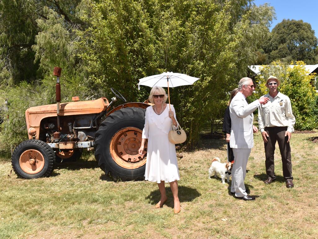 Wine Flight — Oranje Tractor Wine