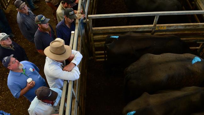 Spinning wheels: Reduced numbers at Pakenham this week lead to weaker results. Picture: Zoe Phillips