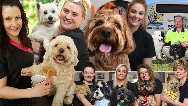 Who will be crowned Melbourne’s best dog groomer?