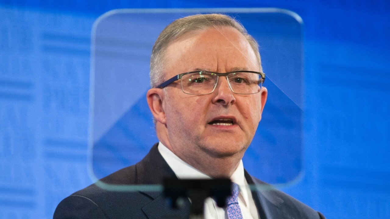 Albanese’s ‘outstanding campaign’ ruined by week one ‘disaster’