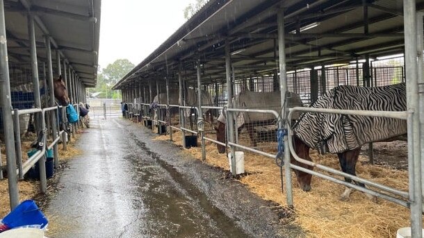 Castle Hill Showground has transformed into an evacuation centre for horses, livestock and domestic animals. Picture: The Hills Shire Council