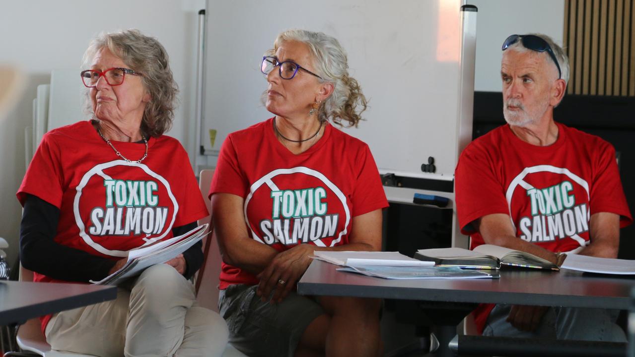 ‘This is not your ocean’: Anti-fish farm activists seeing red