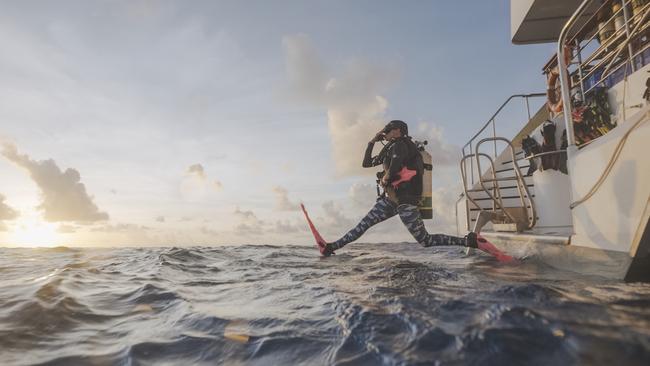 A Far North tourism operator is reporting an early spike in the number of US tourists booking trips to visit the Great Barrier Reef. Pictured, a diver jumps into the Coral Sea, while on a Spirit of Freedom liveaboard cruise. Image: Supplied.