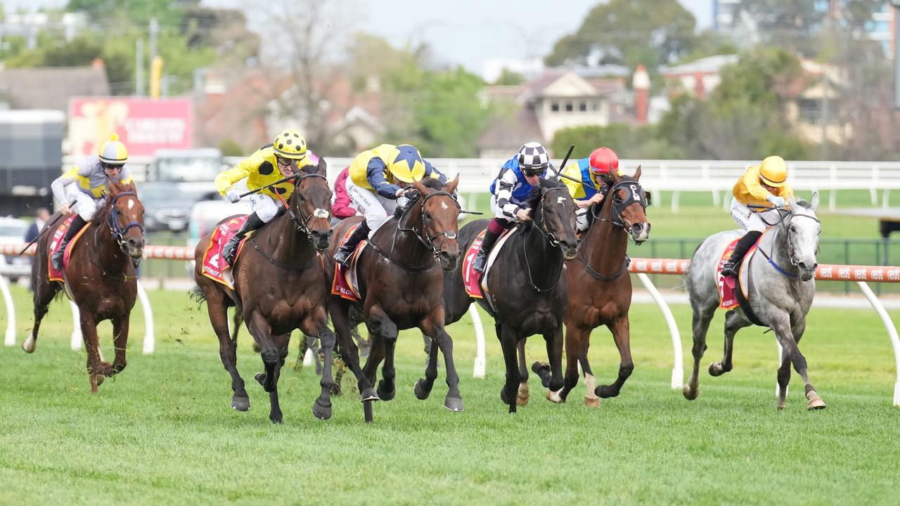 Melbourne Cup order of entry 2023 Horses, full field, barriers