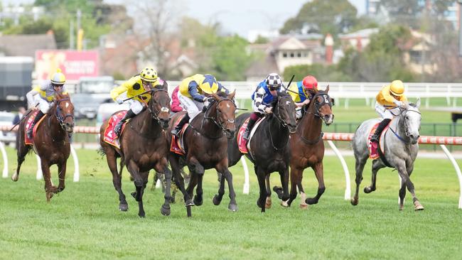 Without A Fight (left) ridden by Mark Zahra wins the Carlton Draught Caulfield Cup. (Photo by Scott Barbour/Racing Photos via Getty Images)