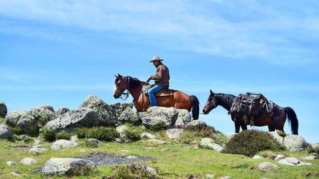 Victorian High Country – Victoria - Horses & Cattle