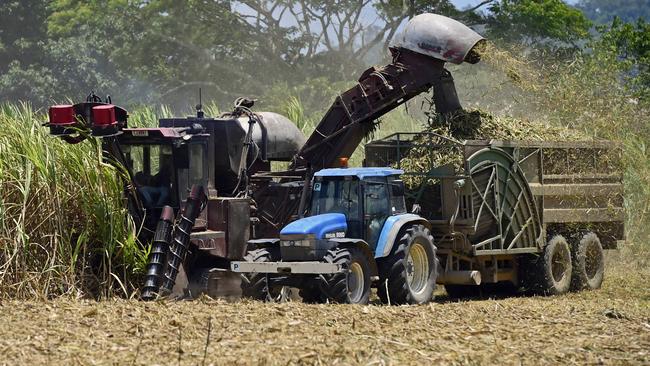 A cane harvester and haul-out vehicle in this file photo taken near Ingham. Picture: Wesley Monts