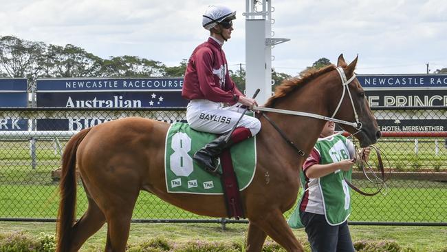 Centre Bounce looks well placed to break through for an overdue win at Lismore. Picture: Bradley Photos