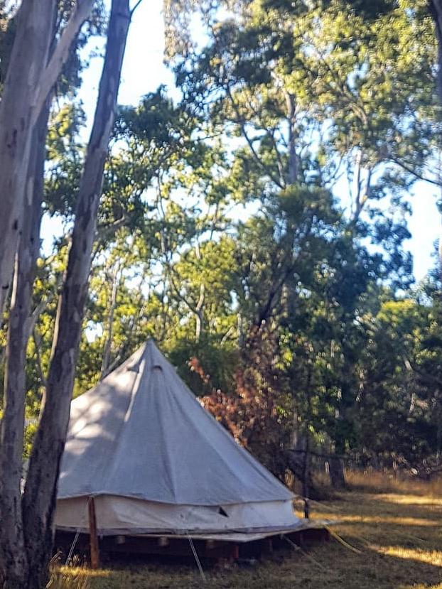 The tent used while Anne Marie Anderson was living rough. Picture: Supplied