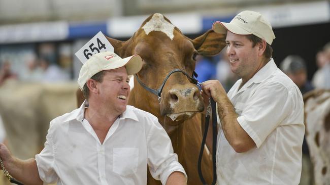 Action from a previous International Dairy Week. Picture: Dannika Bonser