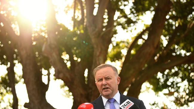 Labor leader contender Anthony Albanese. Picture: AAP