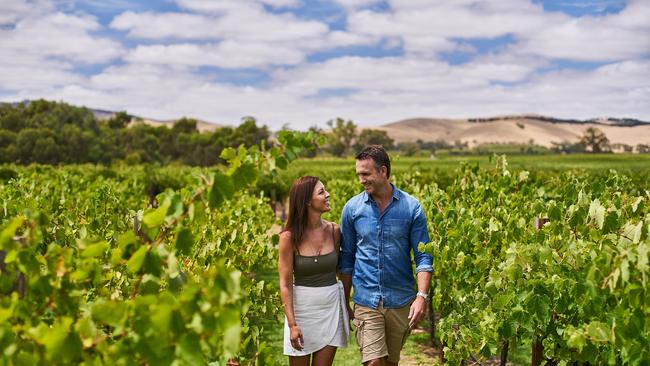 Vineyards such as this one at Jacob's Creek in the Barossa Valley await NZ visitors. Picture: SATC