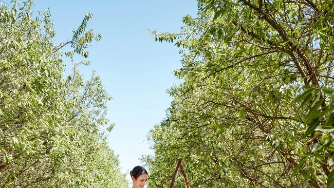 Jenna Dinicola Stefanovic and husband Tom Stefanovic at their Mandolé Orchard almond farm near Griffith, NSW. Picture: Hugh Stewart