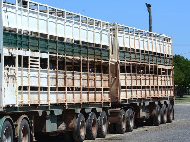 Owner operator cattle truck driver Terry Pattel unloads cattle at the Richmond cattle yards. Picture: Evan Morgan