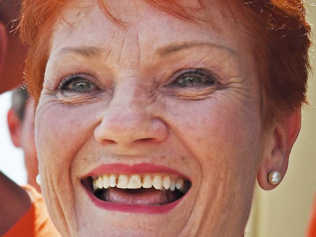 One Nation Leader Pauline Hanson amongst the party faithful at the Bunnings store Smithfield, Cairns, Sunday, November 19, 2017. Pauline Hanson is touring the state ahead of the Queensland state election next week. (AAP Image/Brian Cassey) NO ARCHIVING