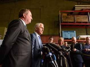 Prime Minister Malcolm Turnbull visits the Macadamia Processing Company at Alphadale with Page MP Kevin Hogan and Deputy Barnaby Joyce. Picture: Cathy Adams