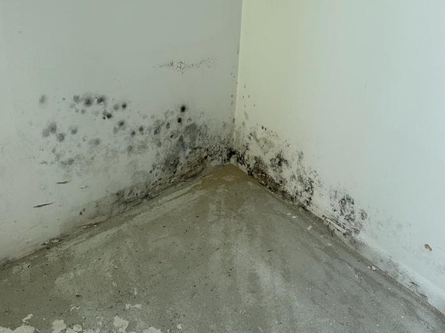 Mould uncovered in a boarding house being constructed in Petersham last week.