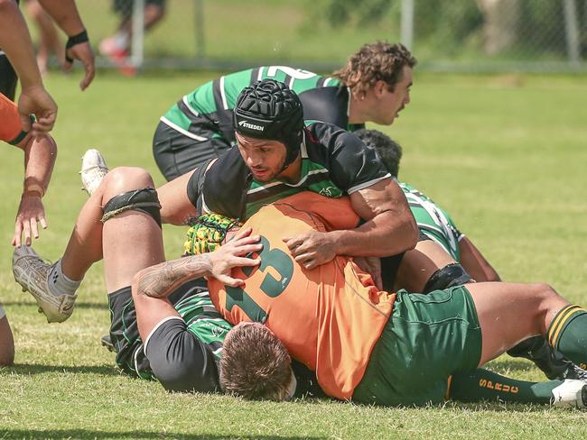 Surfers Paradise Dolphins host Queensland Premier Rugby club Sunnybank at Broadbeach Waters. Picture:Glenn Campbell