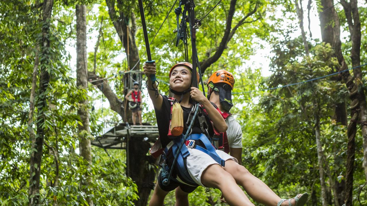 Man Dies After Falling From Zip Line At Jungle Surfing Canopy In Qld 