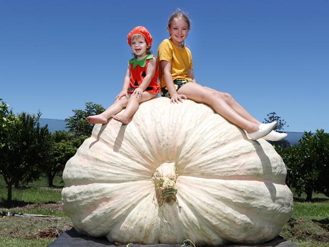 Ruby-Rose and Bella-Rose Smithson with the 876kg pumpkin. Picture: Jason O'Brien