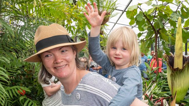 Candice Howlett and daughter Emma, 4, check out the rare corpse flower blooming at the Geelong Botanic Gardens. Picture: Brad Fleet