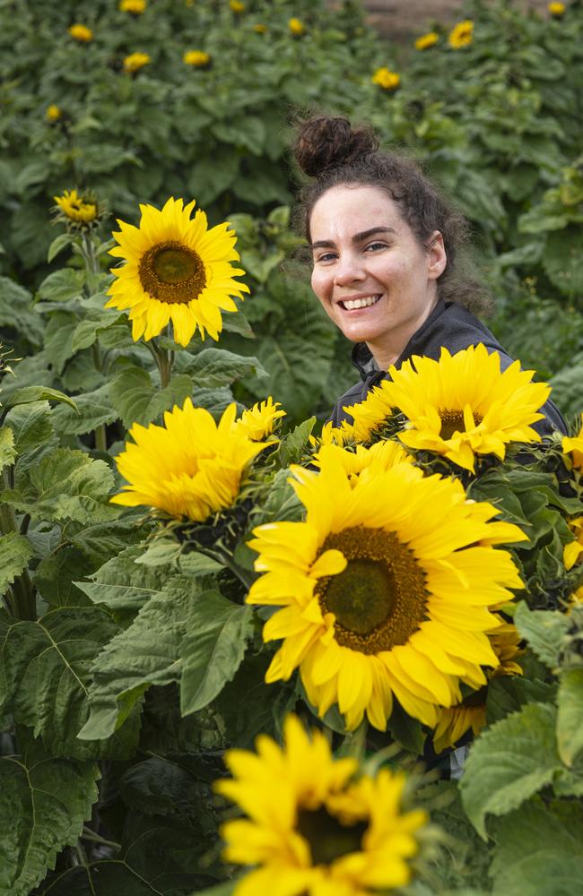 Gold Coast visitor Caitlin Proud at Warraba Sunflowers, Saturday, June 22, 2024. Picture: Kevin Farmer