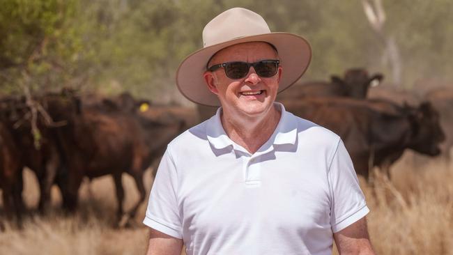 Prime Minister Anthony Albanese on a cattle station in Lake Nash in the Northern Territory. Picture: PMO