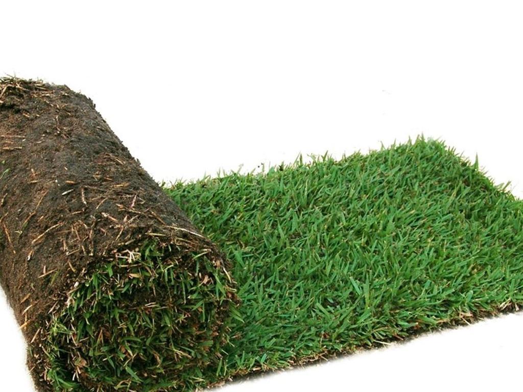 Quick repair Couch grass. Picture: Bunnings