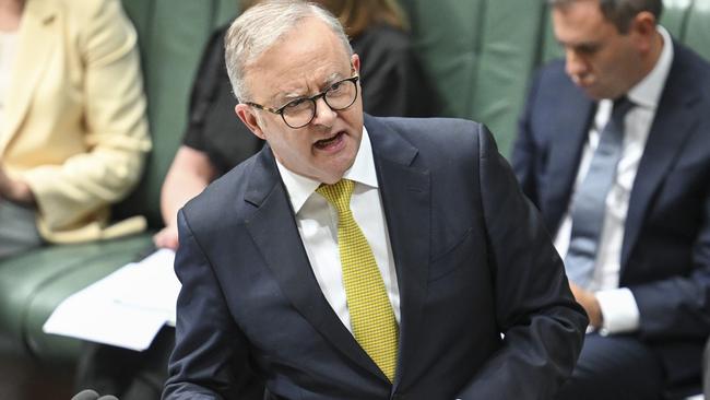 Anthony Albanese has overruled Tanya Plibersek over a proposed environment deal with the Greens. Picture: NewsWire / Martin Ollman