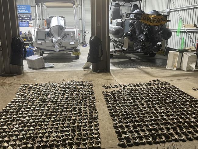 Illegal abalone haul seized by Fisheries NSW. If there's any file pics of fisheries officers out on patrol or anything that would be great too. Picture: Supplied