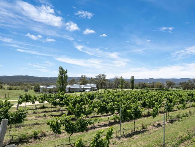 Ridgemill Estate is one of only a few in the Granite Belt region who offer guest accommodation overlooking the vineyard.