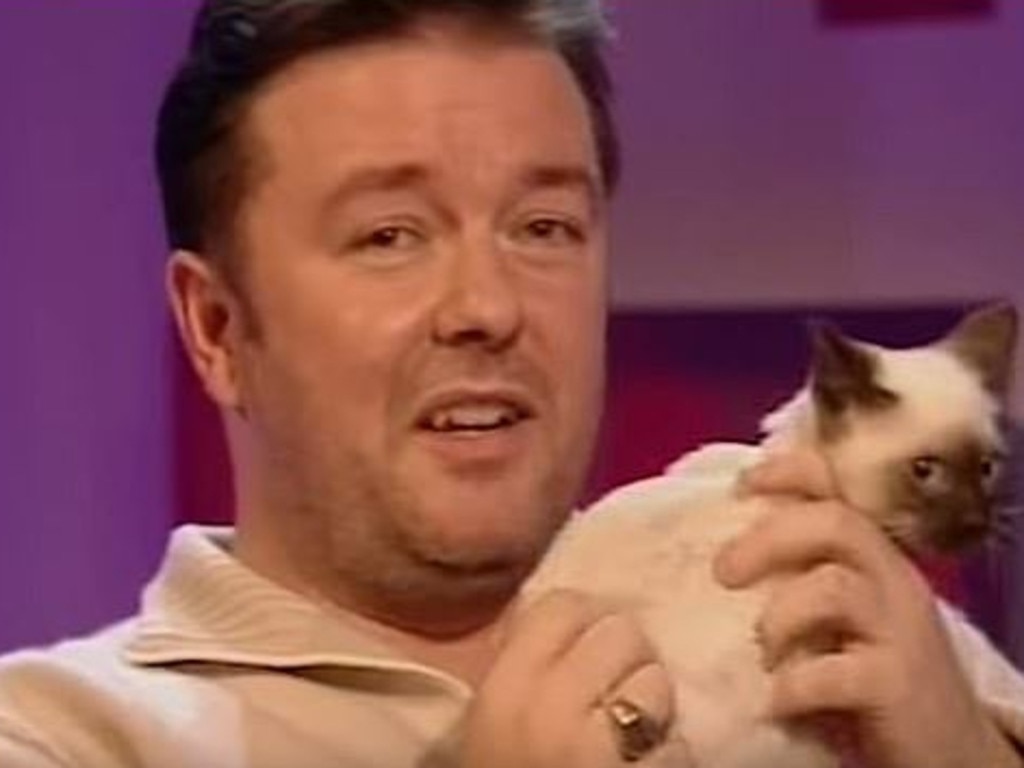 Ricky Gervais' Twitter-famous cat Ollie dies aged 16 - NZ Herald