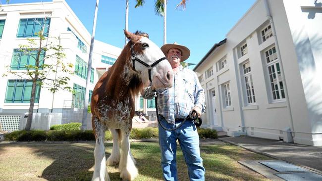 Steven May and Kenny the Clydesdales outside Rockhampton Court House. Picture: Allan Reinikka ROK310118aclydesd