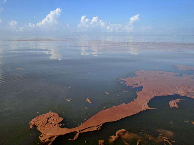 A slick floats on the surface in 2010 after the BP spill. Picture: Charlie Riedel.