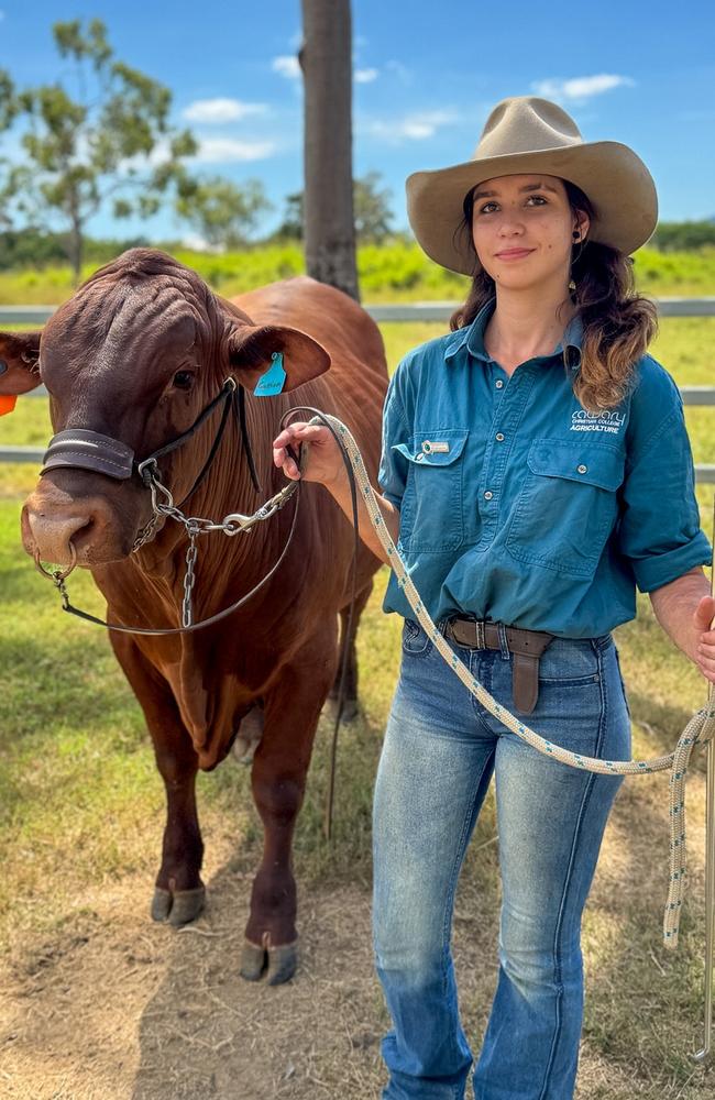 Calvary Christian College cattle team captain Chelsea Shaw with one of school's cattle