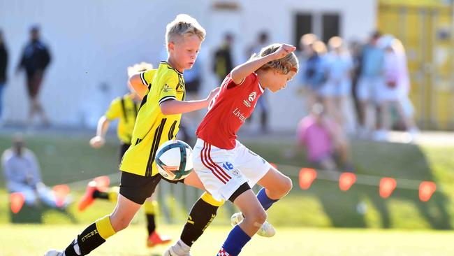 SOCCER: Junior football carnival, Maroochydore. Gold Coast Knights (red) V Moreton Bay United, boys. Picture: Patrick Woods.