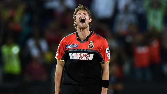 Shane Watson celebrates after taking a wicket for Royal Challengers Bangalore.