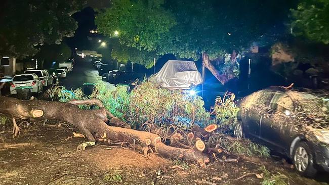 The SES was called to remove this tree that had fallen onto a car in Gulliver St, Brookvale about midnight on Tuesday. Picture: SES Manly