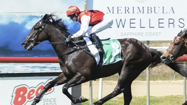 Direct Fire can end the day on a high note for Theresa Bateup and Jess Taylor. Picture: Bradley Photos