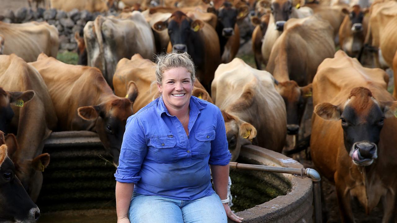 South Gippsland Dairy colostrum goes from paddock to plate