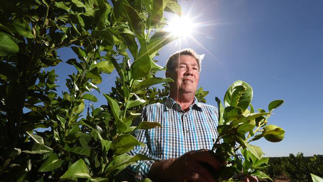 Farmer Greg Noble on his property at Oxford Landing, near Waikerie. Picture: Tait Schmaal