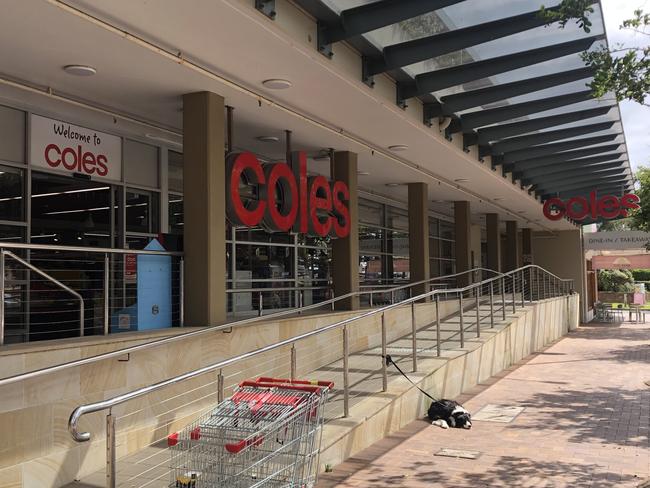 The Coles Supermarket on Barrenjoey, Rd, Newport, Friday, November 1, 2024.