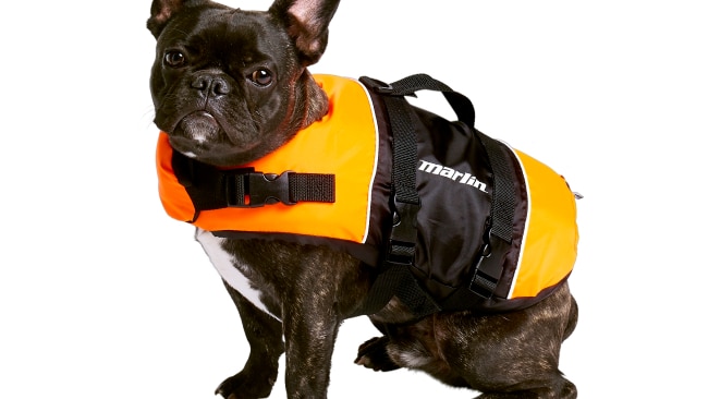 Marlin dog best sale life jacket